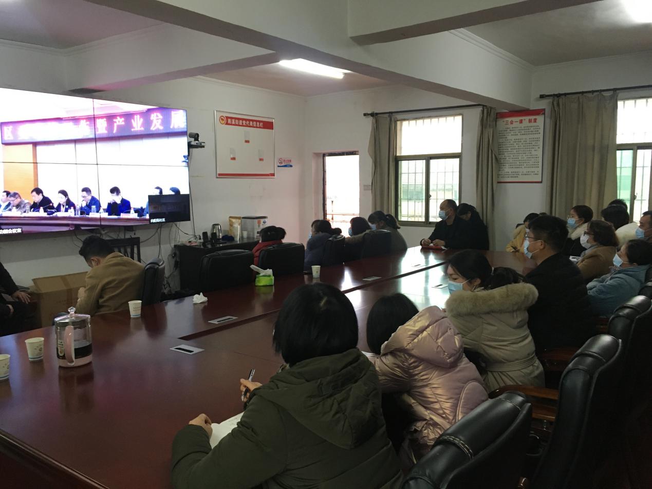 大祥区召开区委经济工作暨产业发展大会(图6)